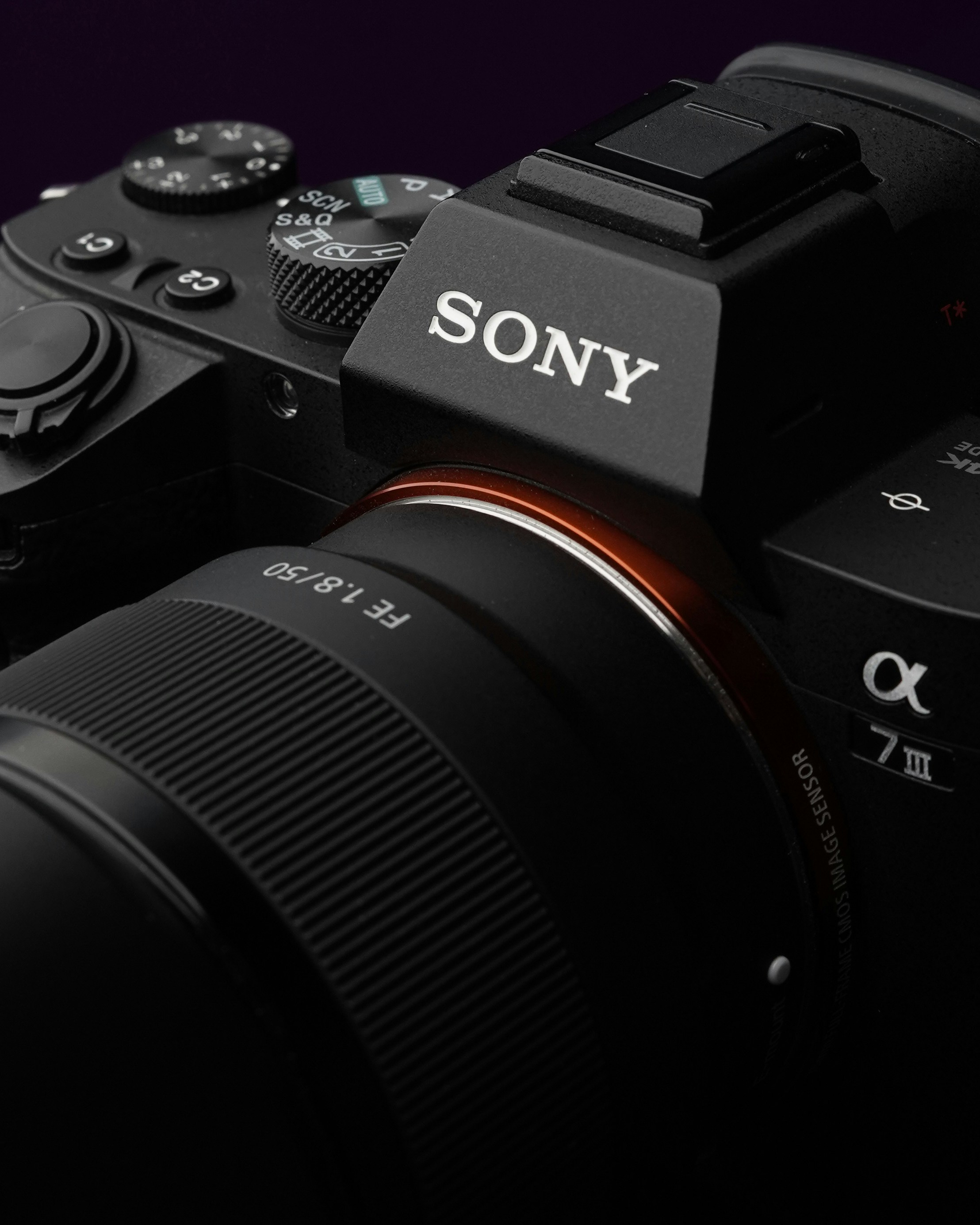 Camera for professional photography