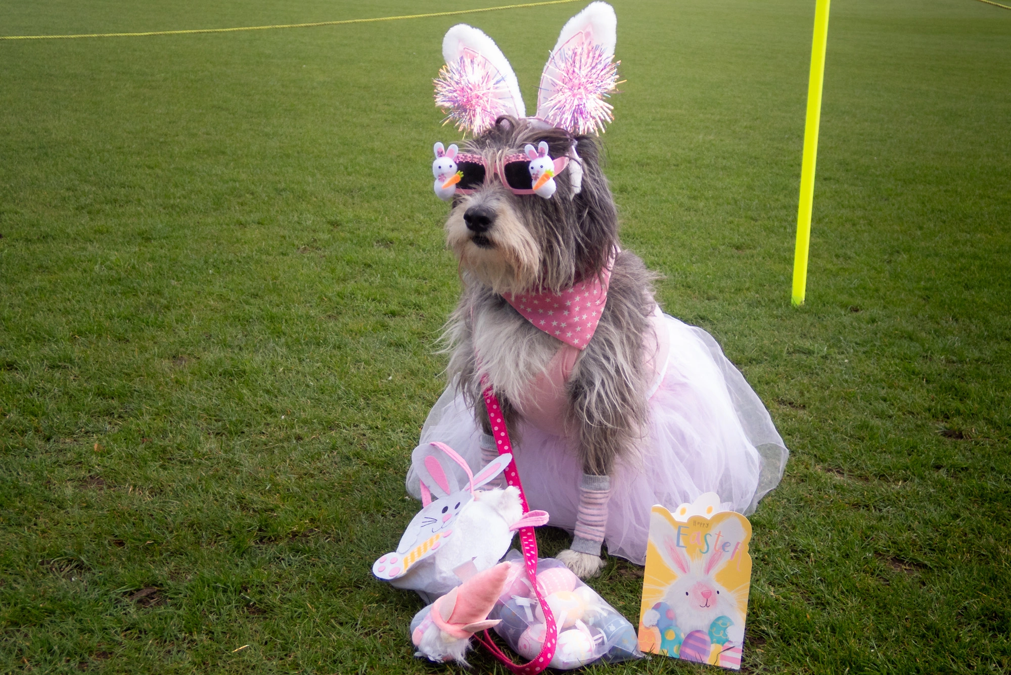 Professional photographer in Sunderland