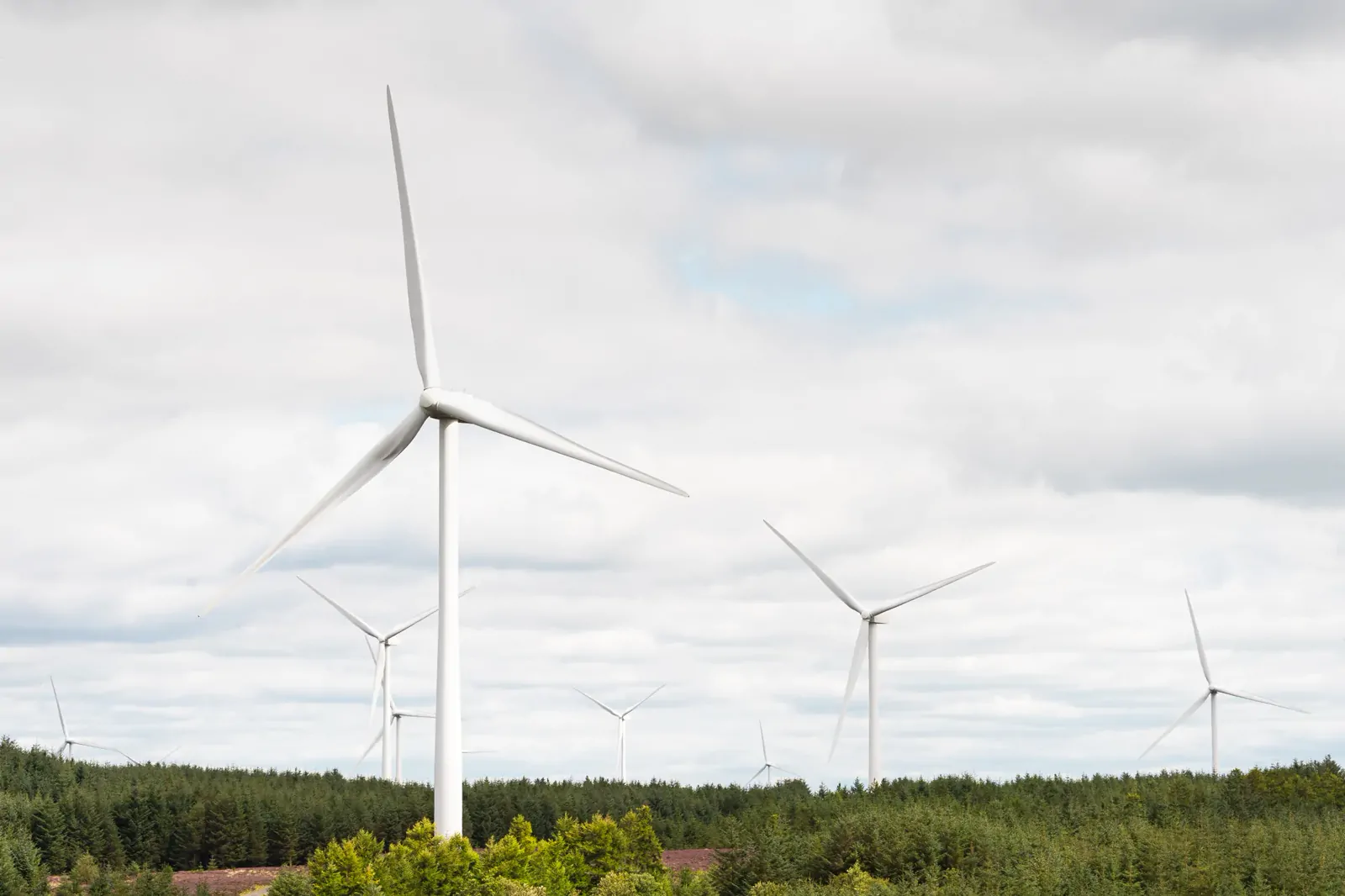 Wind turbine farm across a forested hillside