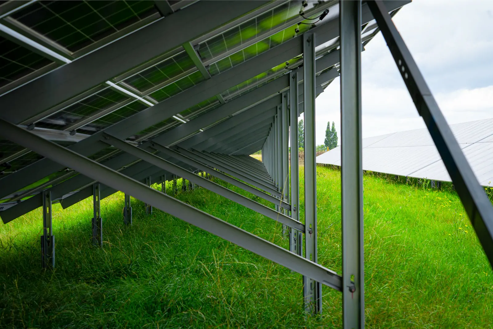 View beneath a row of tilted solar panels looking down the line