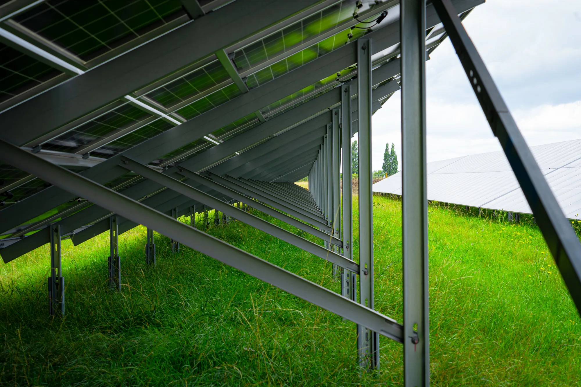 View beneath a row of tilted solar panels looking down the line