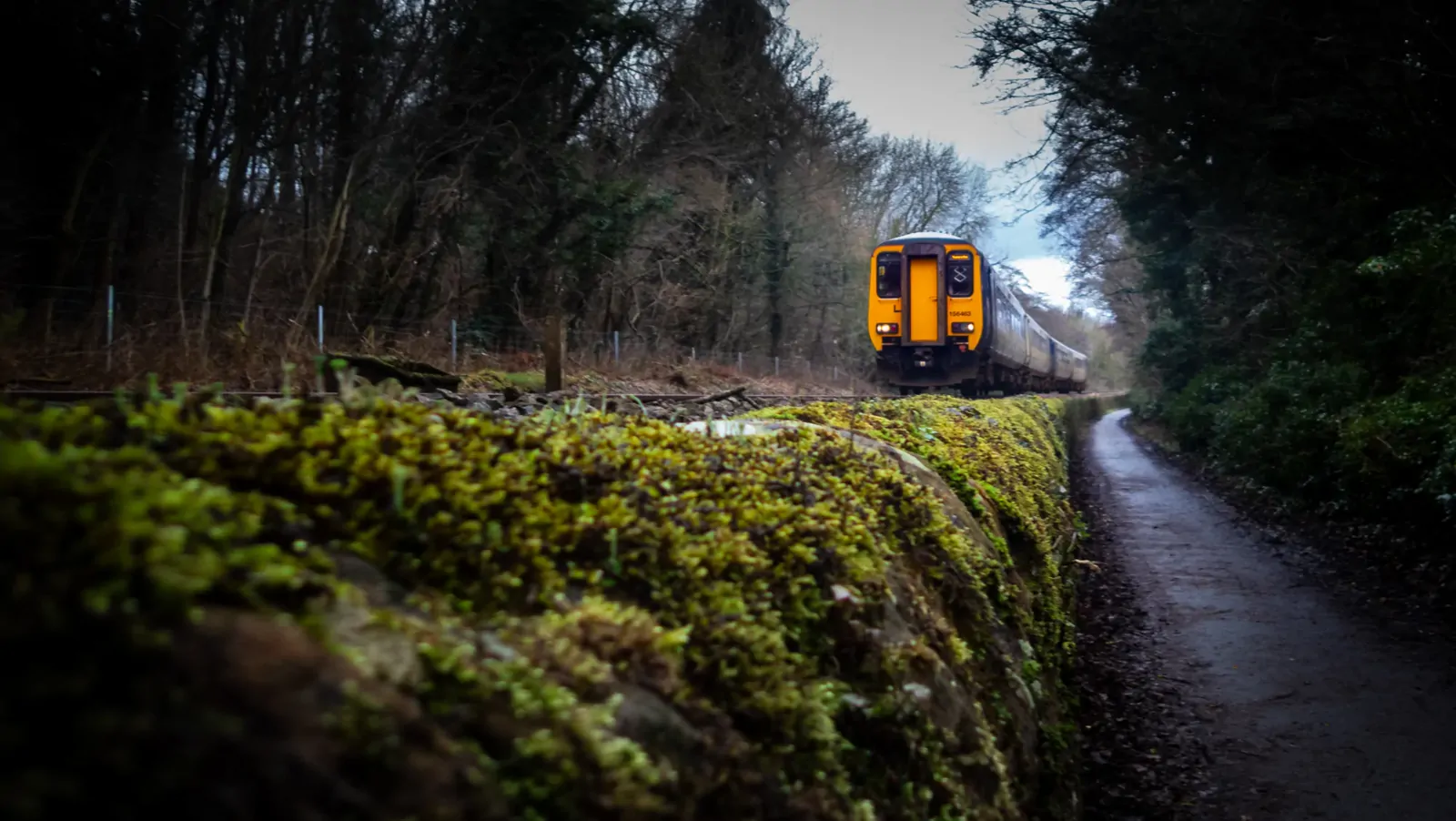 A passenger train approaching along a wooded railway line